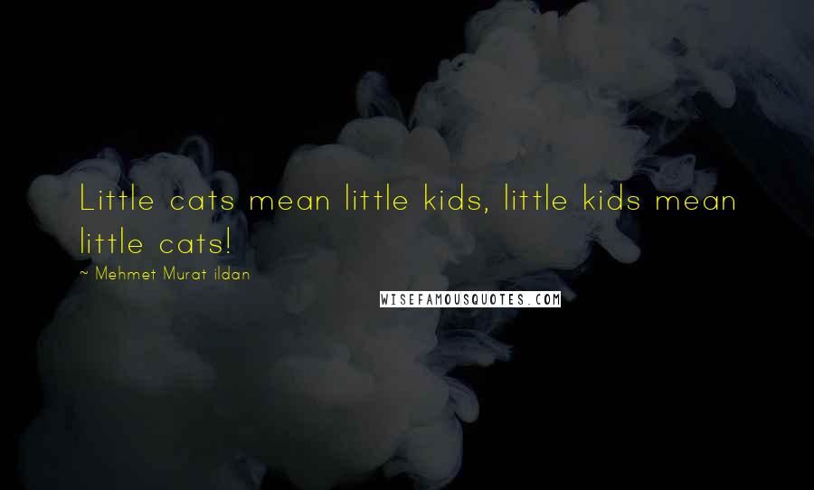 Mehmet Murat Ildan Quotes: Little cats mean little kids, little kids mean little cats!