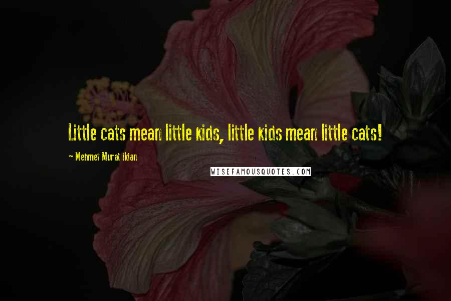Mehmet Murat Ildan Quotes: Little cats mean little kids, little kids mean little cats!
