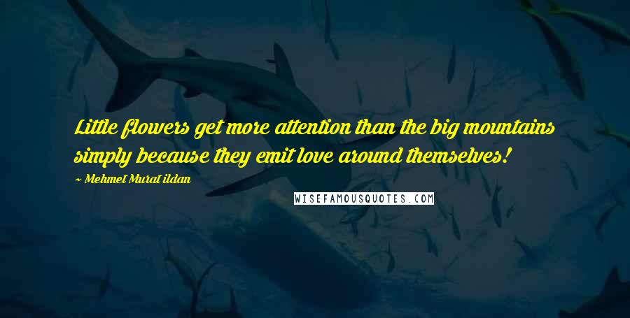 Mehmet Murat Ildan Quotes: Little flowers get more attention than the big mountains simply because they emit love around themselves!