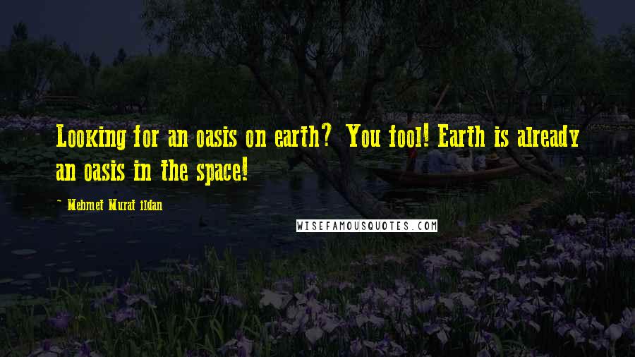 Mehmet Murat Ildan Quotes: Looking for an oasis on earth? You fool! Earth is already an oasis in the space!