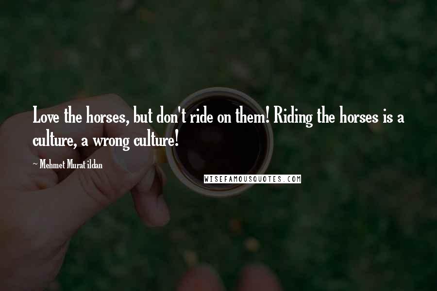 Mehmet Murat Ildan Quotes: Love the horses, but don't ride on them! Riding the horses is a culture, a wrong culture!