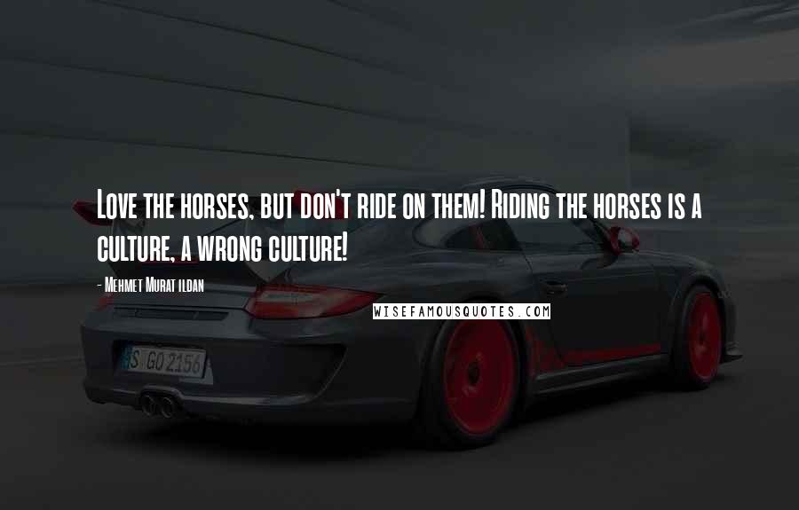 Mehmet Murat Ildan Quotes: Love the horses, but don't ride on them! Riding the horses is a culture, a wrong culture!