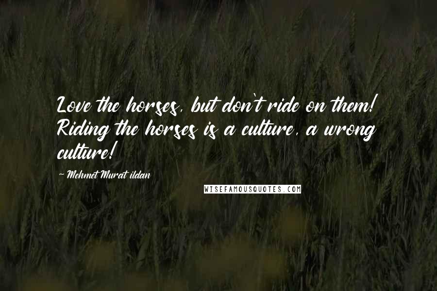 Mehmet Murat Ildan Quotes: Love the horses, but don't ride on them! Riding the horses is a culture, a wrong culture!