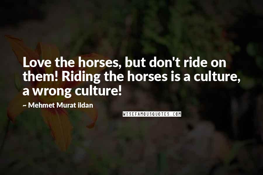 Mehmet Murat Ildan Quotes: Love the horses, but don't ride on them! Riding the horses is a culture, a wrong culture!