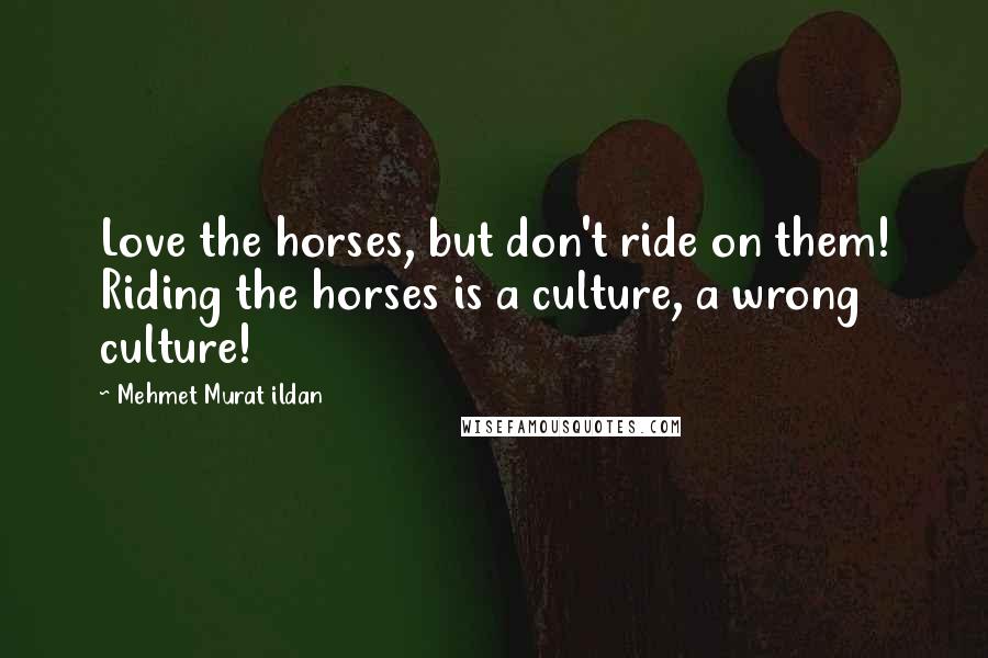 Mehmet Murat Ildan Quotes: Love the horses, but don't ride on them! Riding the horses is a culture, a wrong culture!