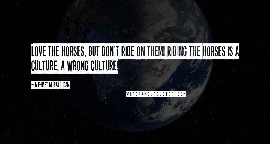 Mehmet Murat Ildan Quotes: Love the horses, but don't ride on them! Riding the horses is a culture, a wrong culture!