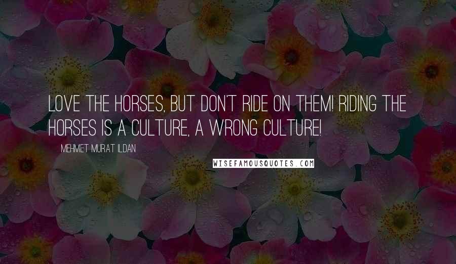 Mehmet Murat Ildan Quotes: Love the horses, but don't ride on them! Riding the horses is a culture, a wrong culture!