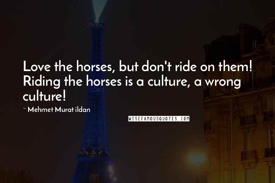 Mehmet Murat Ildan Quotes: Love the horses, but don't ride on them! Riding the horses is a culture, a wrong culture!