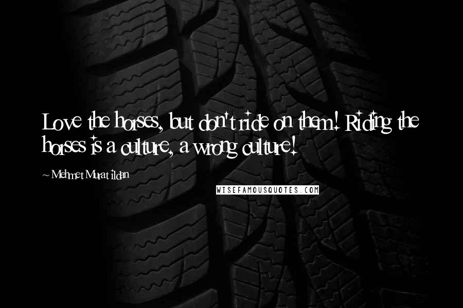 Mehmet Murat Ildan Quotes: Love the horses, but don't ride on them! Riding the horses is a culture, a wrong culture!