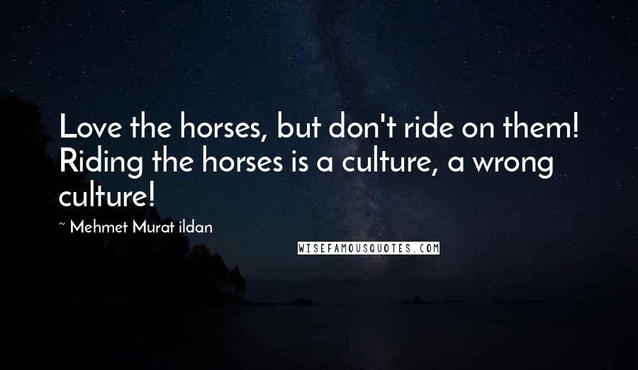 Mehmet Murat Ildan Quotes: Love the horses, but don't ride on them! Riding the horses is a culture, a wrong culture!