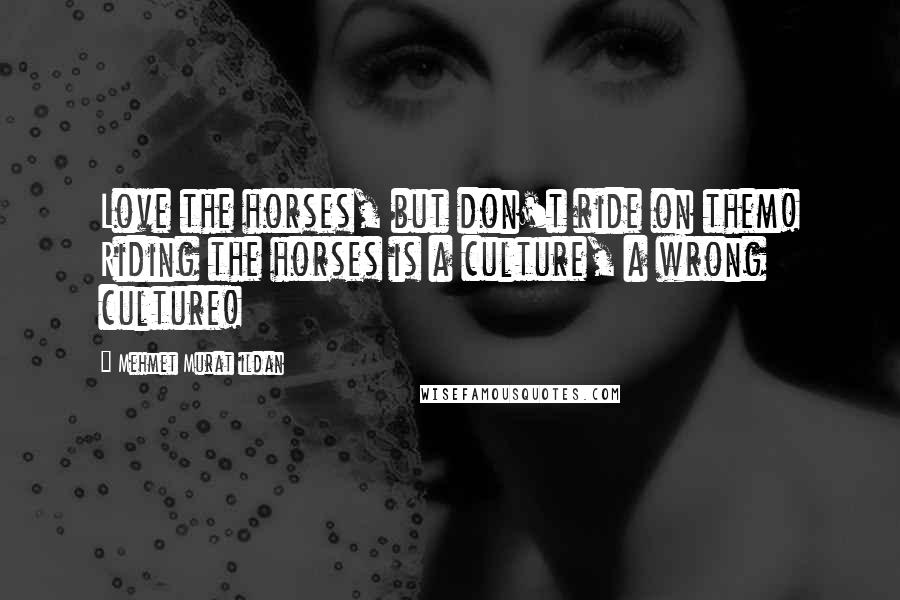 Mehmet Murat Ildan Quotes: Love the horses, but don't ride on them! Riding the horses is a culture, a wrong culture!