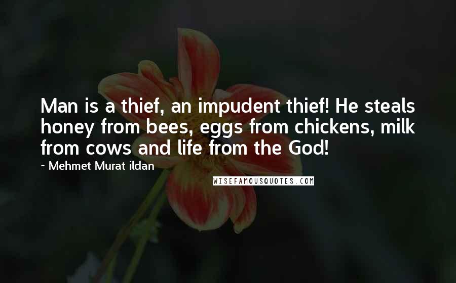 Mehmet Murat Ildan Quotes: Man is a thief, an impudent thief! He steals honey from bees, eggs from chickens, milk from cows and life from the God!