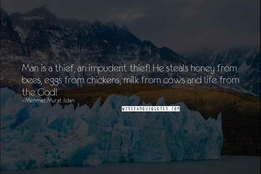 Mehmet Murat Ildan Quotes: Man is a thief, an impudent thief! He steals honey from bees, eggs from chickens, milk from cows and life from the God!