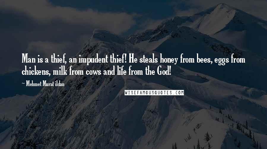 Mehmet Murat Ildan Quotes: Man is a thief, an impudent thief! He steals honey from bees, eggs from chickens, milk from cows and life from the God!