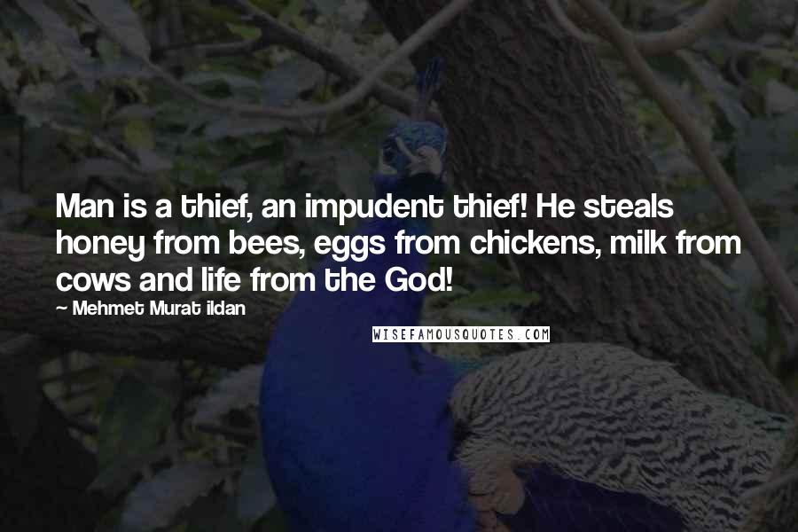 Mehmet Murat Ildan Quotes: Man is a thief, an impudent thief! He steals honey from bees, eggs from chickens, milk from cows and life from the God!