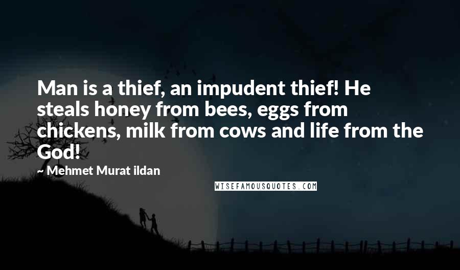 Mehmet Murat Ildan Quotes: Man is a thief, an impudent thief! He steals honey from bees, eggs from chickens, milk from cows and life from the God!