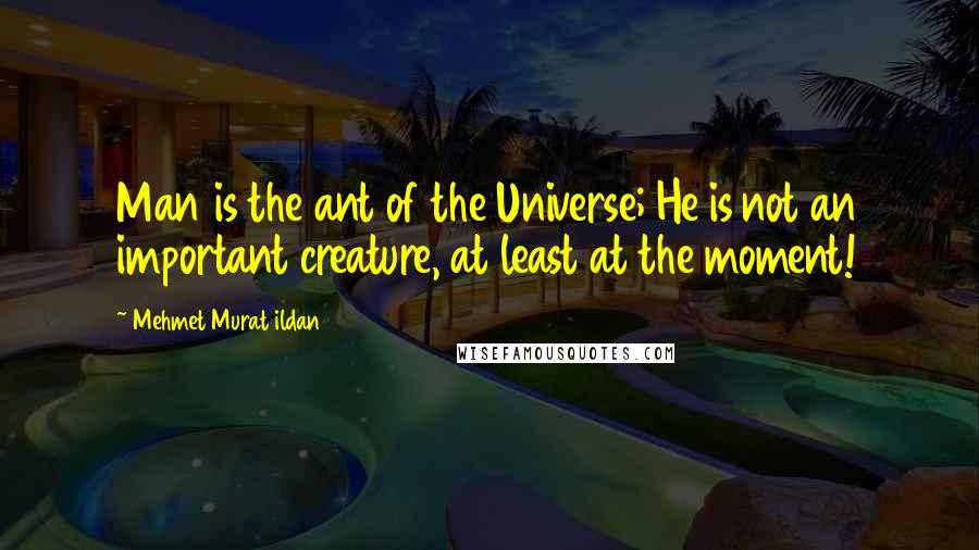 Mehmet Murat Ildan Quotes: Man is the ant of the Universe; He is not an important creature, at least at the moment!