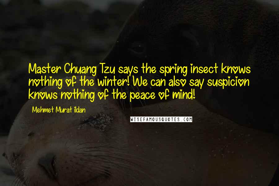 Mehmet Murat Ildan Quotes: Master Chuang Tzu says the spring insect knows nothing of the winter! We can also say suspicion knows nothing of the peace of mind!