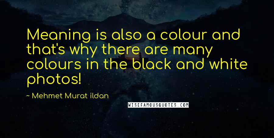 Mehmet Murat Ildan Quotes: Meaning is also a colour and that's why there are many colours in the black and white photos!