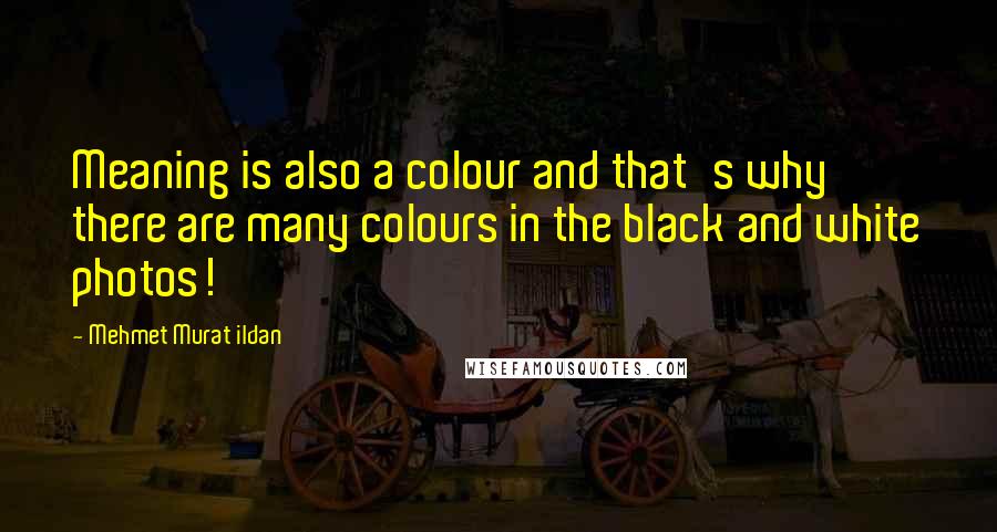 Mehmet Murat Ildan Quotes: Meaning is also a colour and that's why there are many colours in the black and white photos!