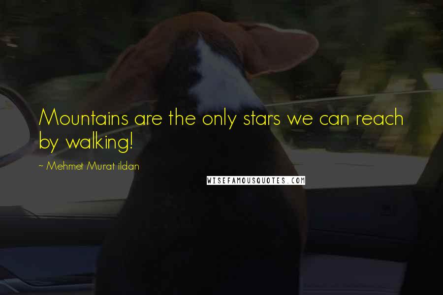 Mehmet Murat Ildan Quotes: Mountains are the only stars we can reach by walking!