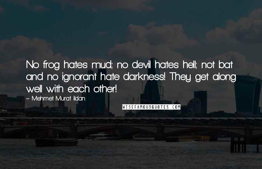 Mehmet Murat Ildan Quotes: No frog hates mud; no devil hates hell; not bat and no ignorant hate darkness! They get along well with each other!