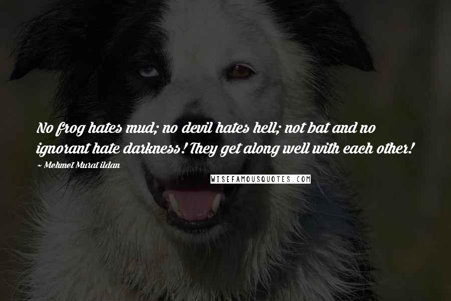 Mehmet Murat Ildan Quotes: No frog hates mud; no devil hates hell; not bat and no ignorant hate darkness! They get along well with each other!