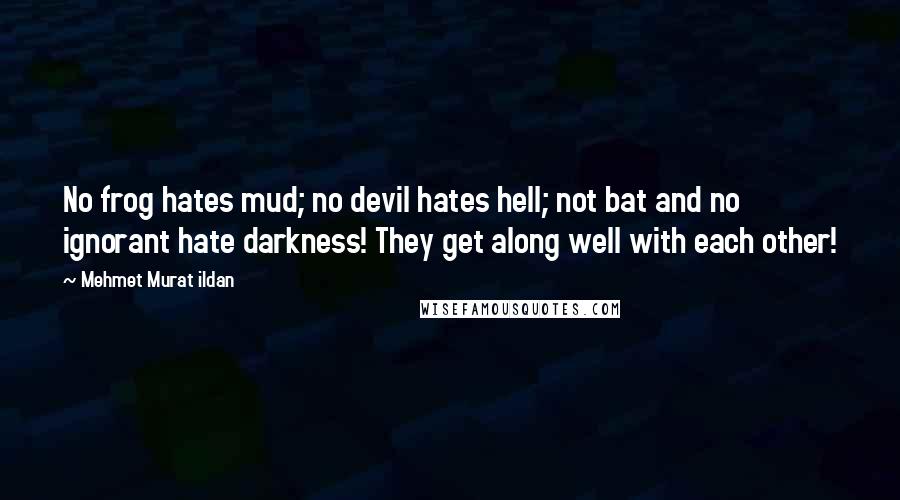 Mehmet Murat Ildan Quotes: No frog hates mud; no devil hates hell; not bat and no ignorant hate darkness! They get along well with each other!