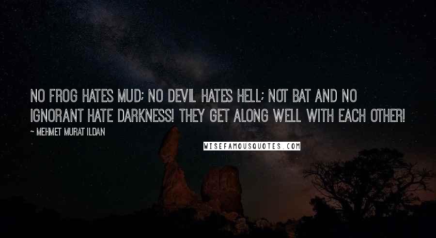 Mehmet Murat Ildan Quotes: No frog hates mud; no devil hates hell; not bat and no ignorant hate darkness! They get along well with each other!