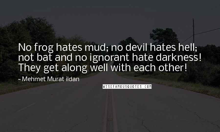 Mehmet Murat Ildan Quotes: No frog hates mud; no devil hates hell; not bat and no ignorant hate darkness! They get along well with each other!