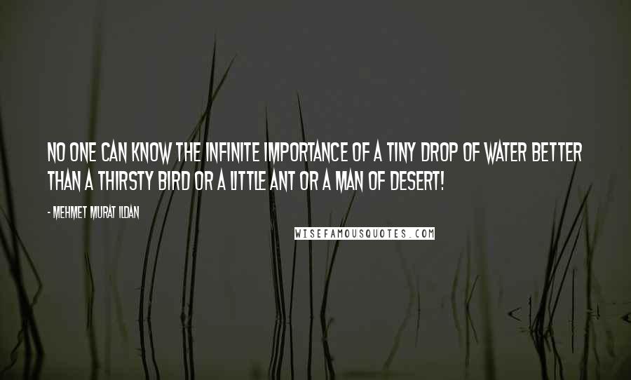 Mehmet Murat Ildan Quotes: No one can know the infinite importance of a tiny drop of water better than a thirsty bird or a little ant or a man of desert!