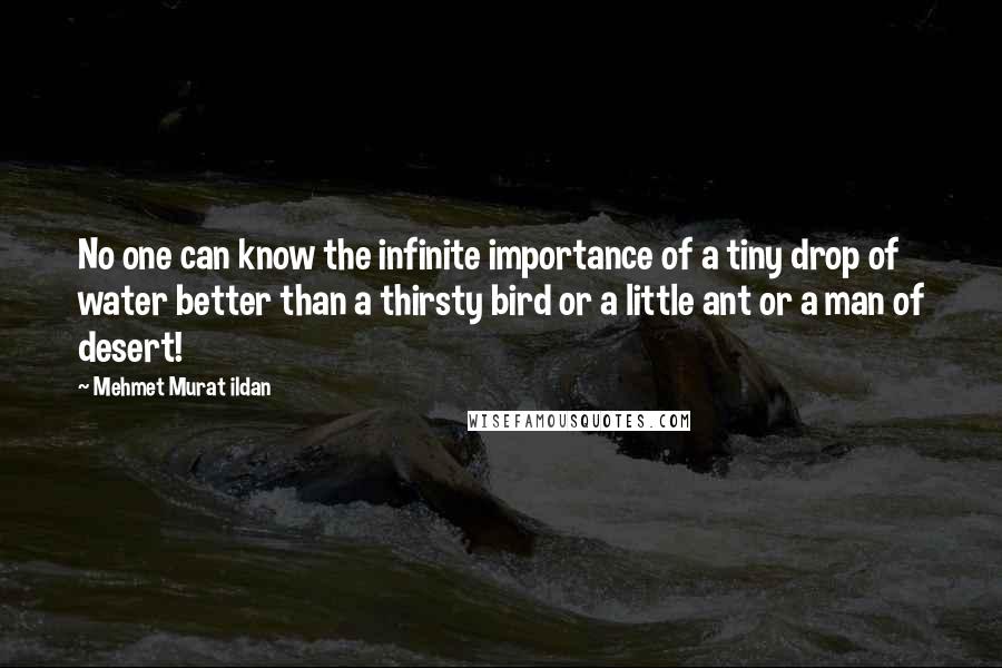 Mehmet Murat Ildan Quotes: No one can know the infinite importance of a tiny drop of water better than a thirsty bird or a little ant or a man of desert!