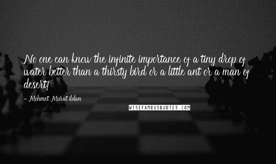 Mehmet Murat Ildan Quotes: No one can know the infinite importance of a tiny drop of water better than a thirsty bird or a little ant or a man of desert!