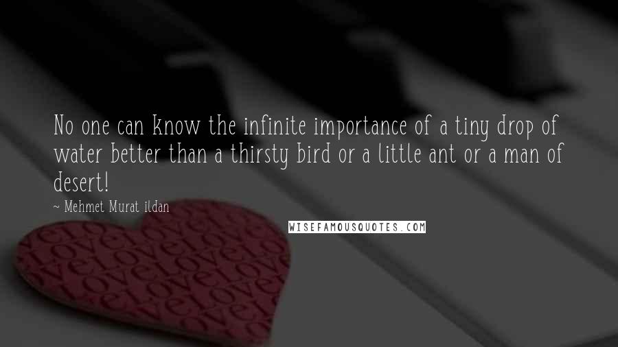 Mehmet Murat Ildan Quotes: No one can know the infinite importance of a tiny drop of water better than a thirsty bird or a little ant or a man of desert!