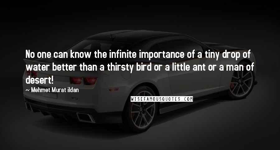 Mehmet Murat Ildan Quotes: No one can know the infinite importance of a tiny drop of water better than a thirsty bird or a little ant or a man of desert!