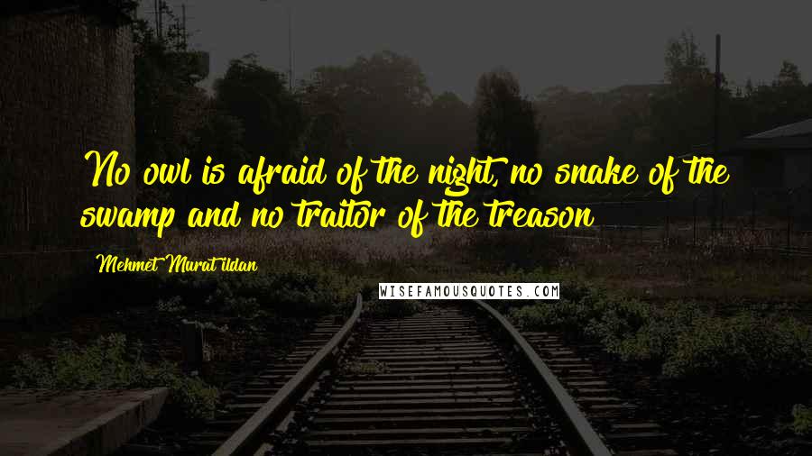 Mehmet Murat Ildan Quotes: No owl is afraid of the night, no snake of the swamp and no traitor of the treason!