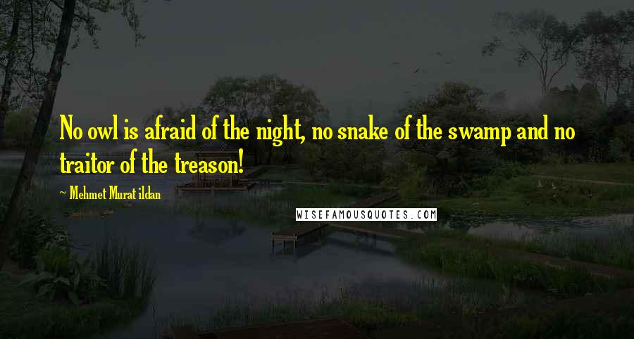 Mehmet Murat Ildan Quotes: No owl is afraid of the night, no snake of the swamp and no traitor of the treason!