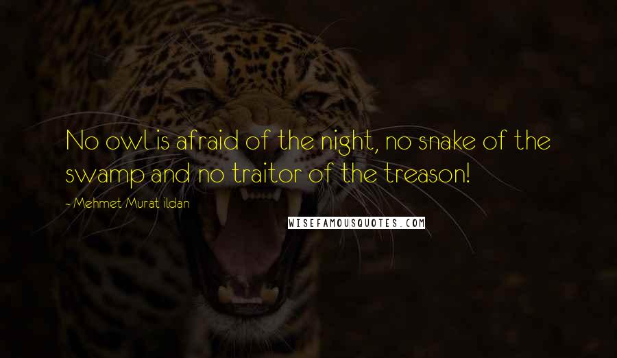 Mehmet Murat Ildan Quotes: No owl is afraid of the night, no snake of the swamp and no traitor of the treason!