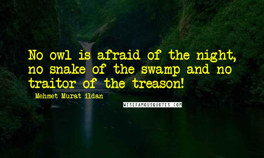 Mehmet Murat Ildan Quotes: No owl is afraid of the night, no snake of the swamp and no traitor of the treason!