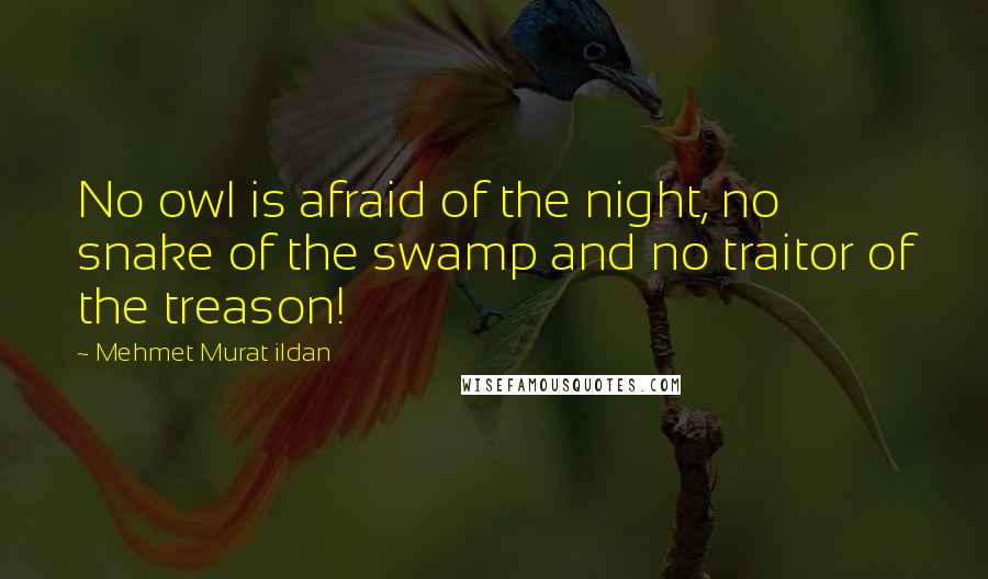 Mehmet Murat Ildan Quotes: No owl is afraid of the night, no snake of the swamp and no traitor of the treason!