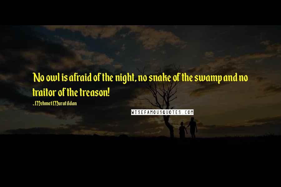 Mehmet Murat Ildan Quotes: No owl is afraid of the night, no snake of the swamp and no traitor of the treason!