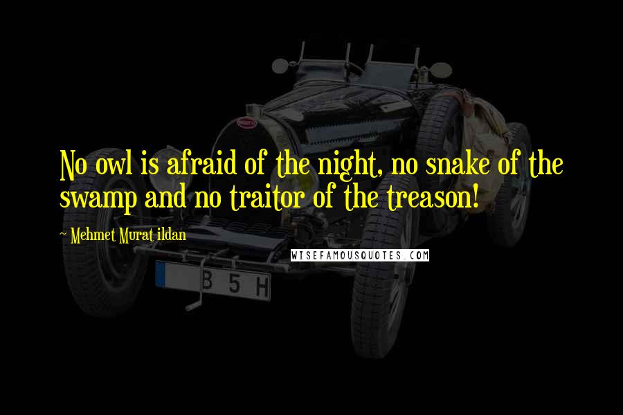 Mehmet Murat Ildan Quotes: No owl is afraid of the night, no snake of the swamp and no traitor of the treason!
