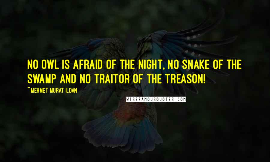 Mehmet Murat Ildan Quotes: No owl is afraid of the night, no snake of the swamp and no traitor of the treason!