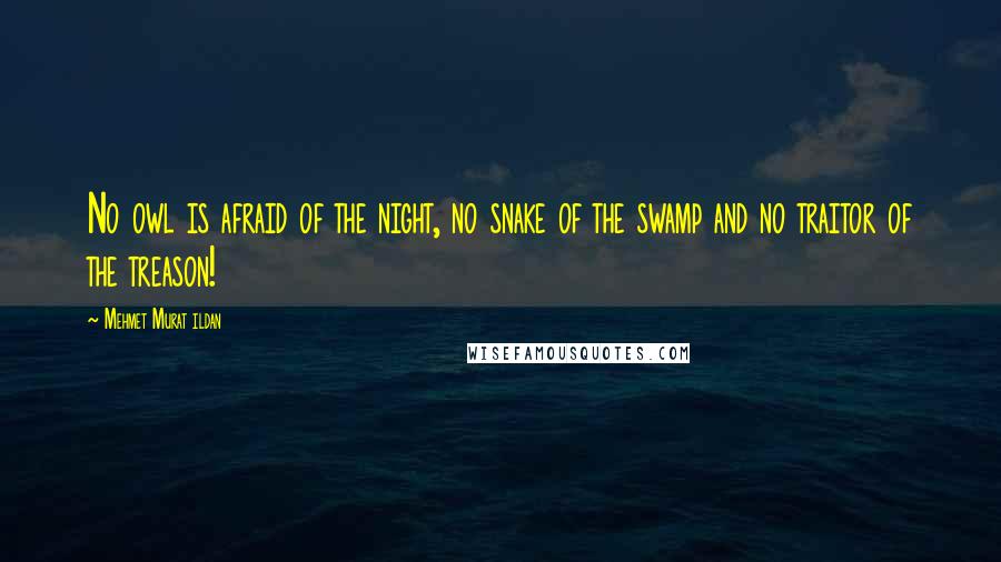Mehmet Murat Ildan Quotes: No owl is afraid of the night, no snake of the swamp and no traitor of the treason!