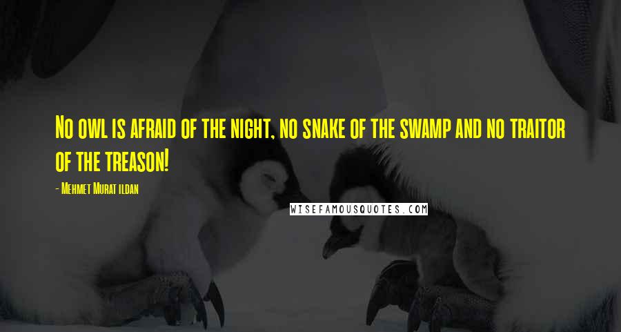 Mehmet Murat Ildan Quotes: No owl is afraid of the night, no snake of the swamp and no traitor of the treason!