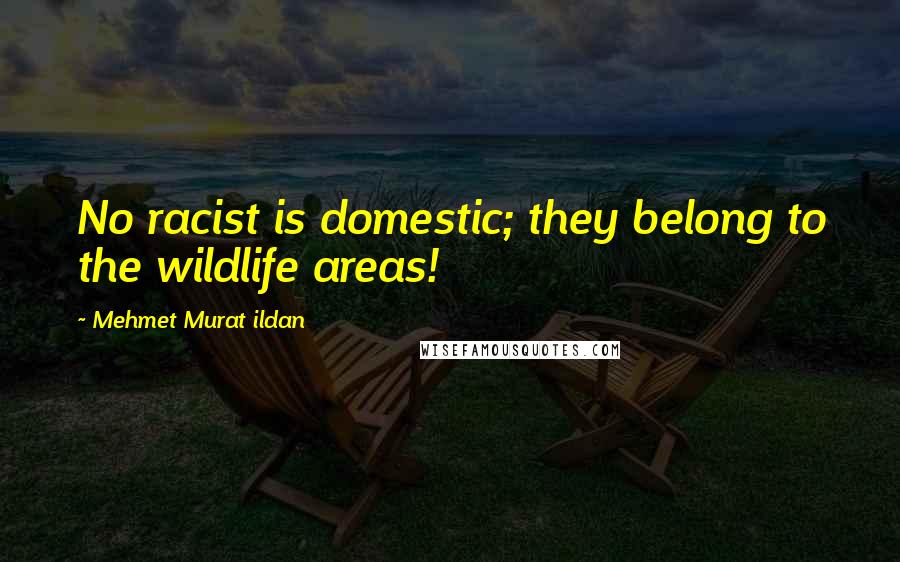 Mehmet Murat Ildan Quotes: No racist is domestic; they belong to the wildlife areas!