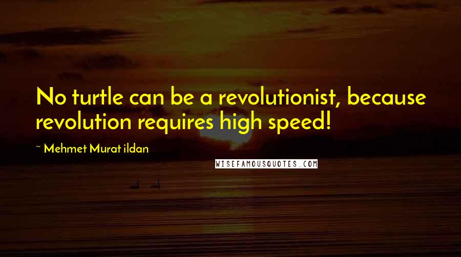 Mehmet Murat Ildan Quotes: No turtle can be a revolutionist, because revolution requires high speed!