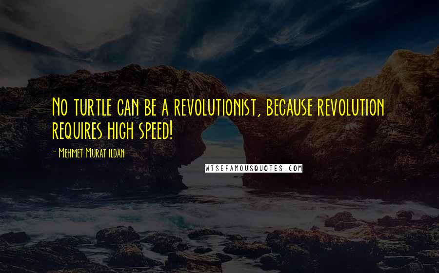 Mehmet Murat Ildan Quotes: No turtle can be a revolutionist, because revolution requires high speed!