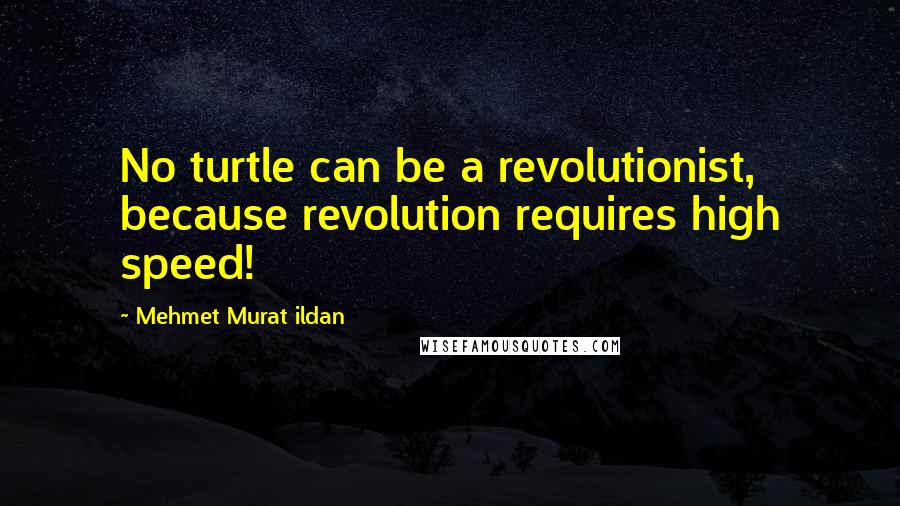 Mehmet Murat Ildan Quotes: No turtle can be a revolutionist, because revolution requires high speed!