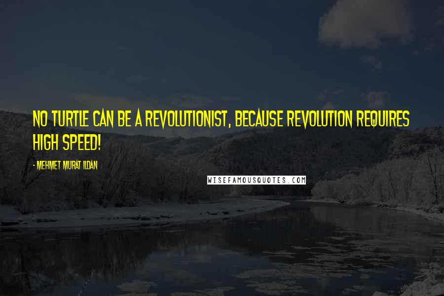 Mehmet Murat Ildan Quotes: No turtle can be a revolutionist, because revolution requires high speed!